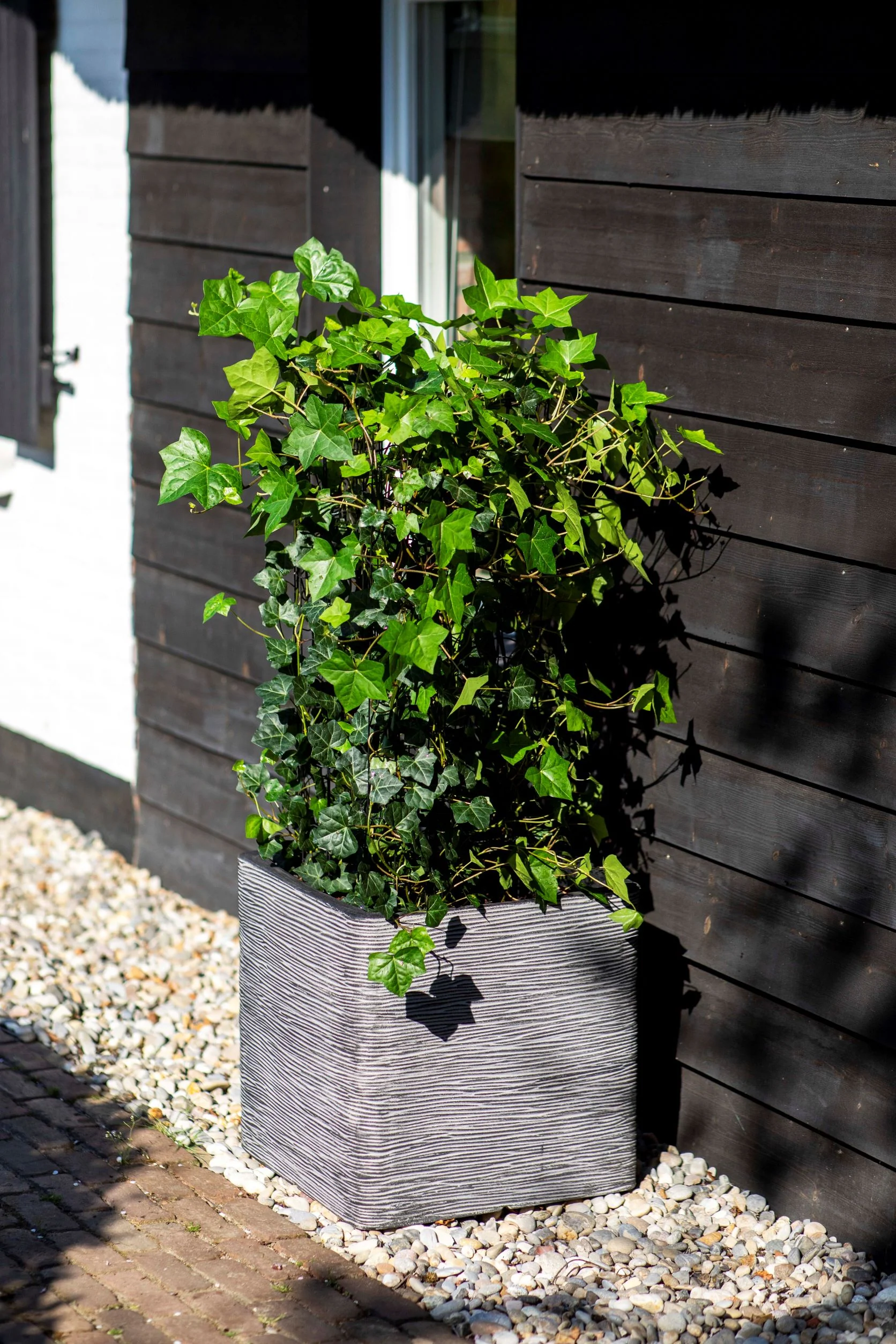 Planter Square Rib NL Anthracite 40cm H40cm W40cm - Image 3