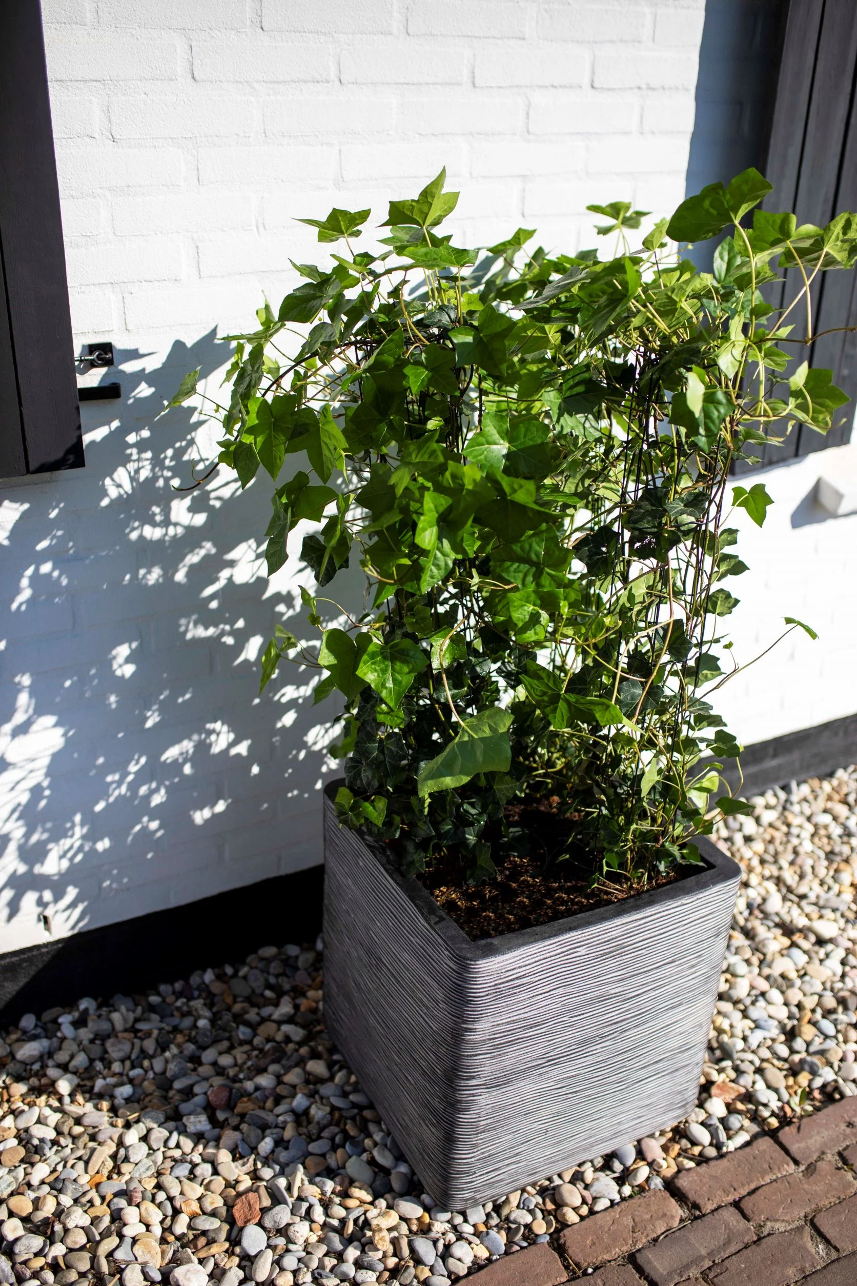 Planter Square Rib NL Anthracite 40cm H40cm W40cm - Image 4