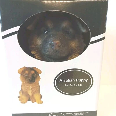 PP Alsatian Puppy F - Image 2