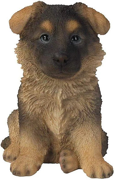 PP Alsatian Puppy F Box/4