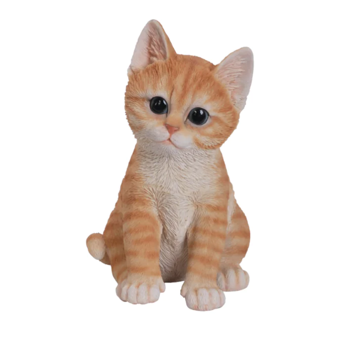 PP Kitten TABBY F