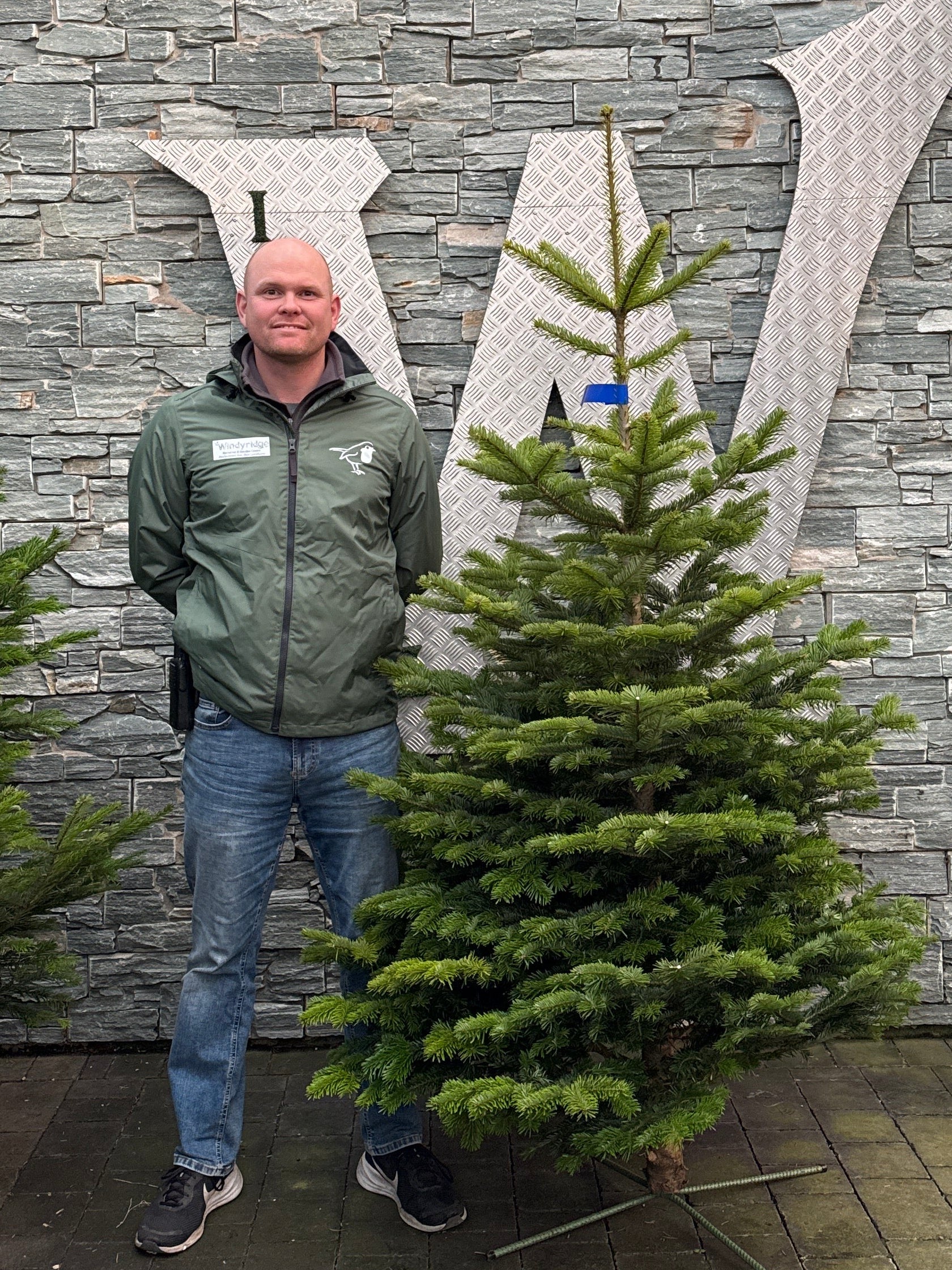 Real Christmas Tree Nordman Fir Blue Tag 5.9ft-6.7ft (175-200cm)