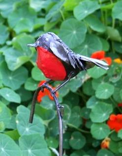 Red Robin Plant Stake H 90cm
