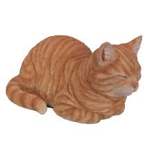 RL Dreaming Cat GINGER B