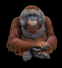 RL Orangutan C