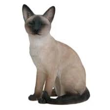 RL Sitting Siamese Cat B x 1