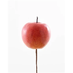 RUSSETT APPLE 60MM