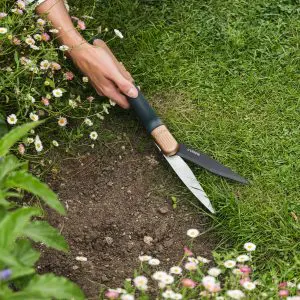 Shears Single Handed Kent & Stowe SureCut - Image 3