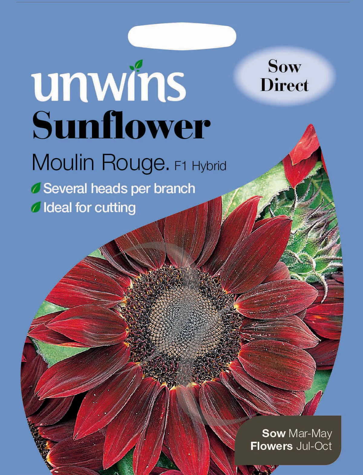 Sunflower Moulin Rouge