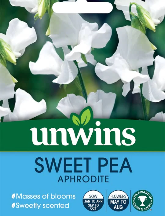 Sweet Pea Aphrodite