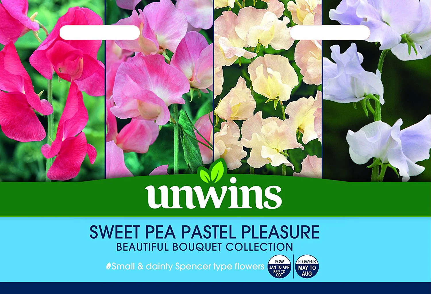 Sweet Pea Pastel Pleasure
