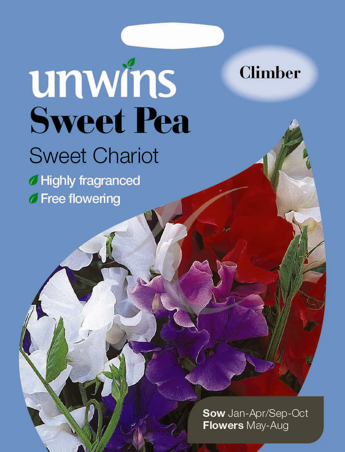 Sweet Pea Sweet Chariot