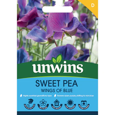 Sweet Pea Wings of Blue