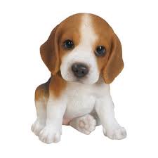 T/C Jack Russell Pup F - Image 2