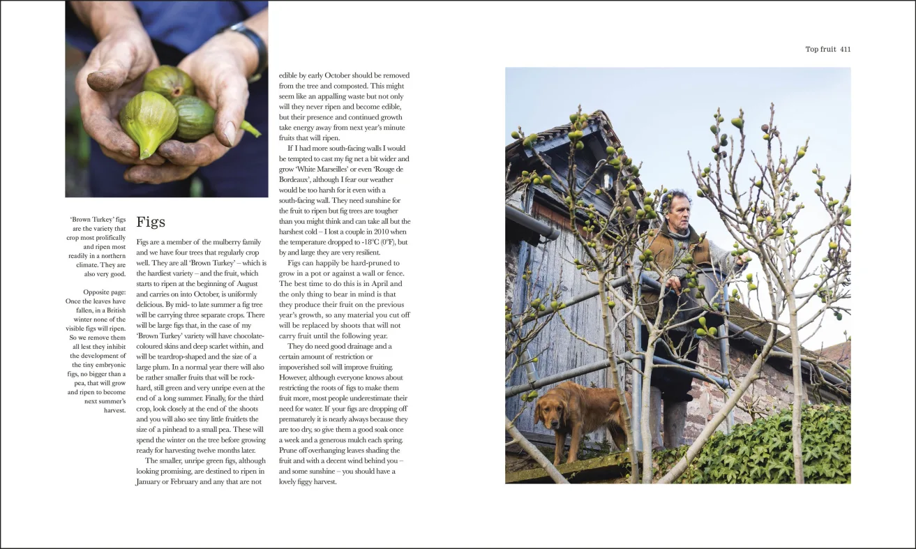 The Complete Gardener Monty Don - Image 10