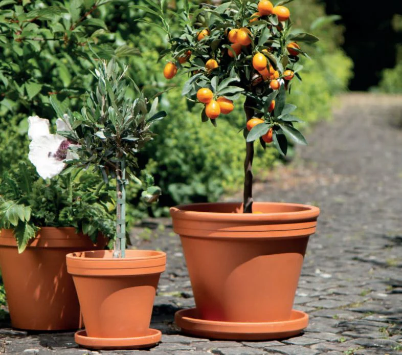 Traditional Terracotta Pot Ø29cm  H23cm - Image 3