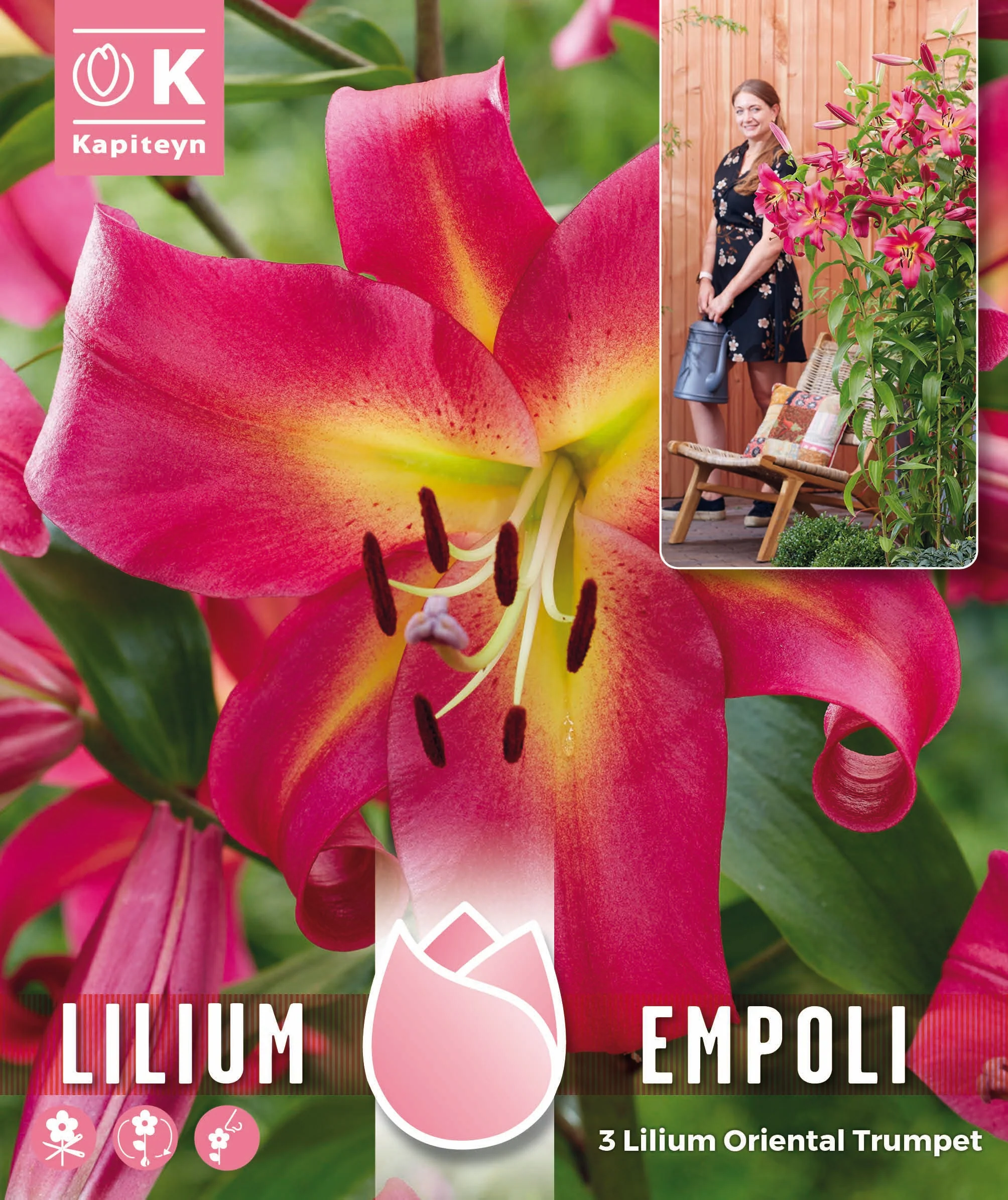 TREE LILIUM PACK EMPOLI 3