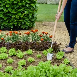 Trowel Long Handled KS SS - Image 2