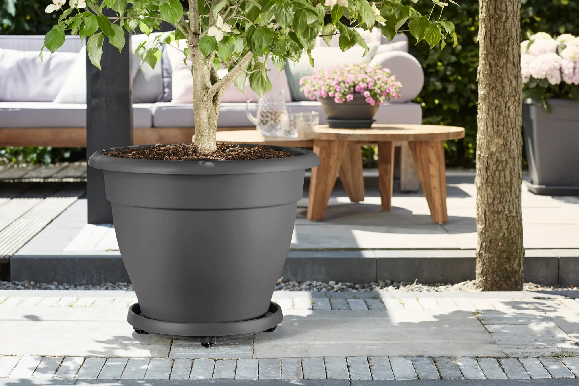 universal planttaxi saucer anthracite Ø35cm - Image 2