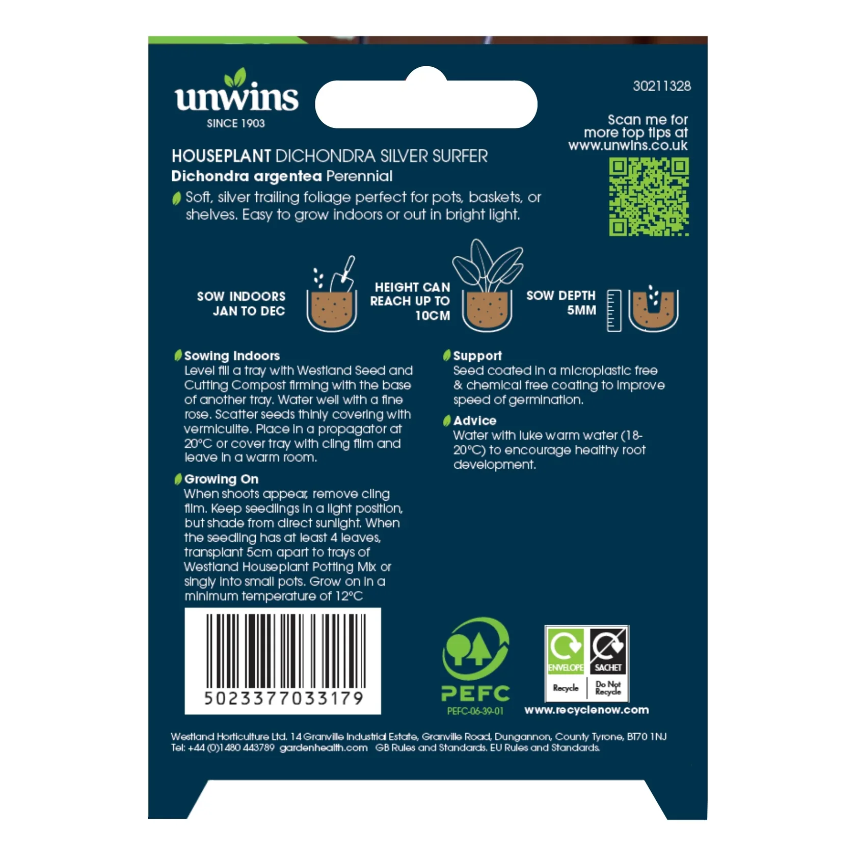 Unwins Houseplant Dichondra Silver Surfer - Image 2