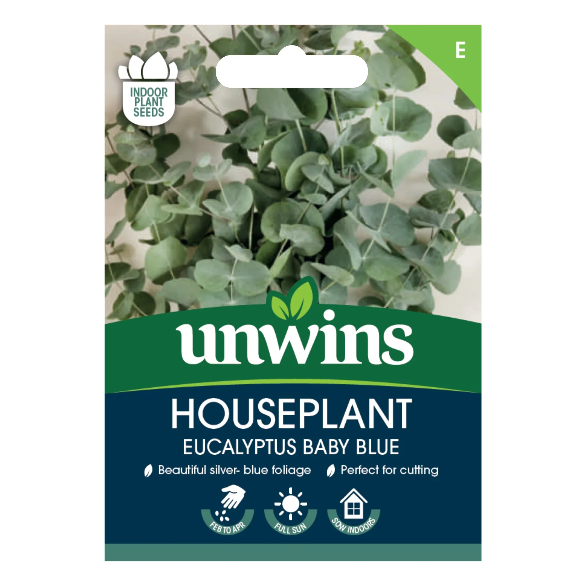 Unwins Houseplant Eucalyptus Baby Blue