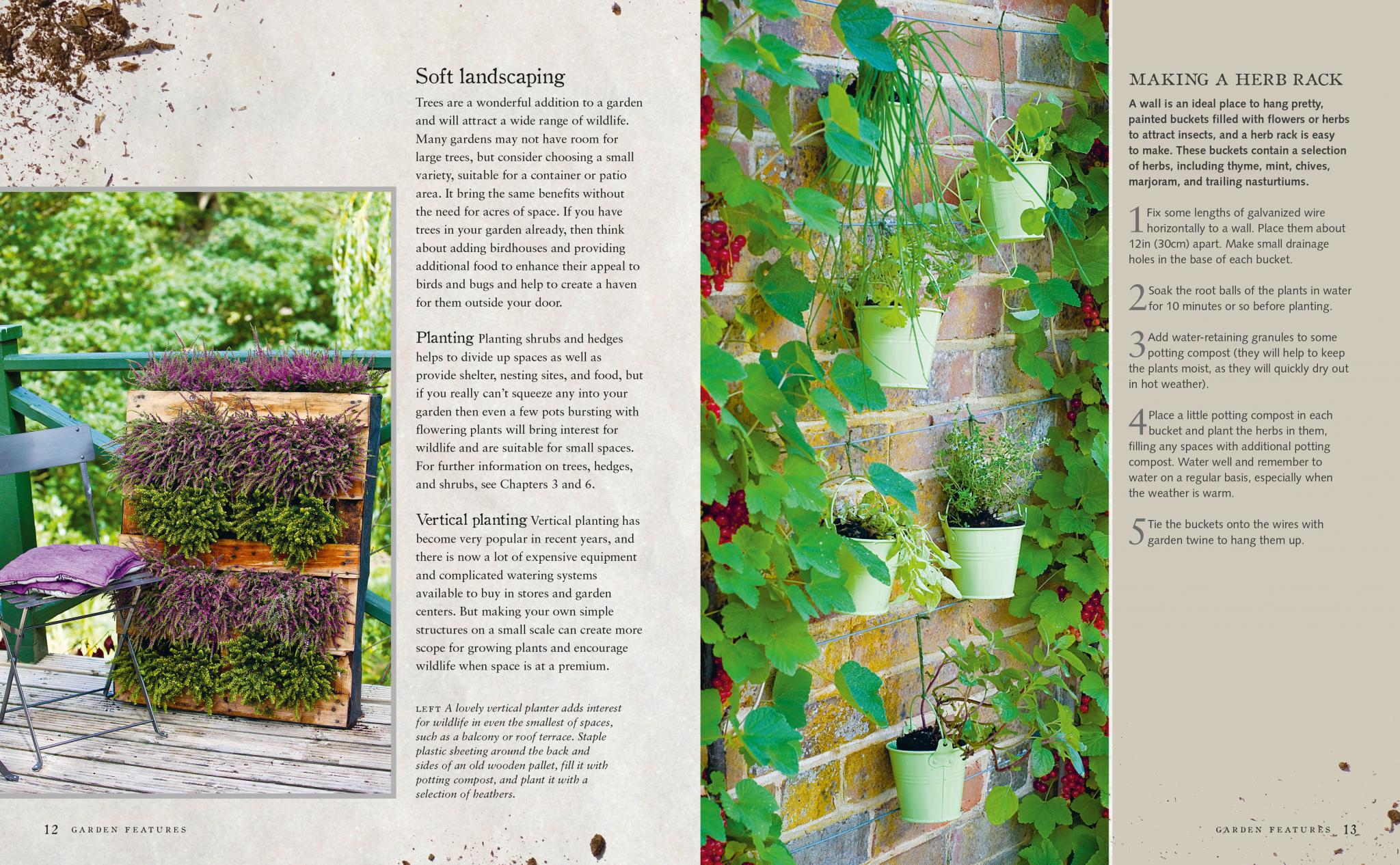 Urban Wildlife Gardener - Image 2