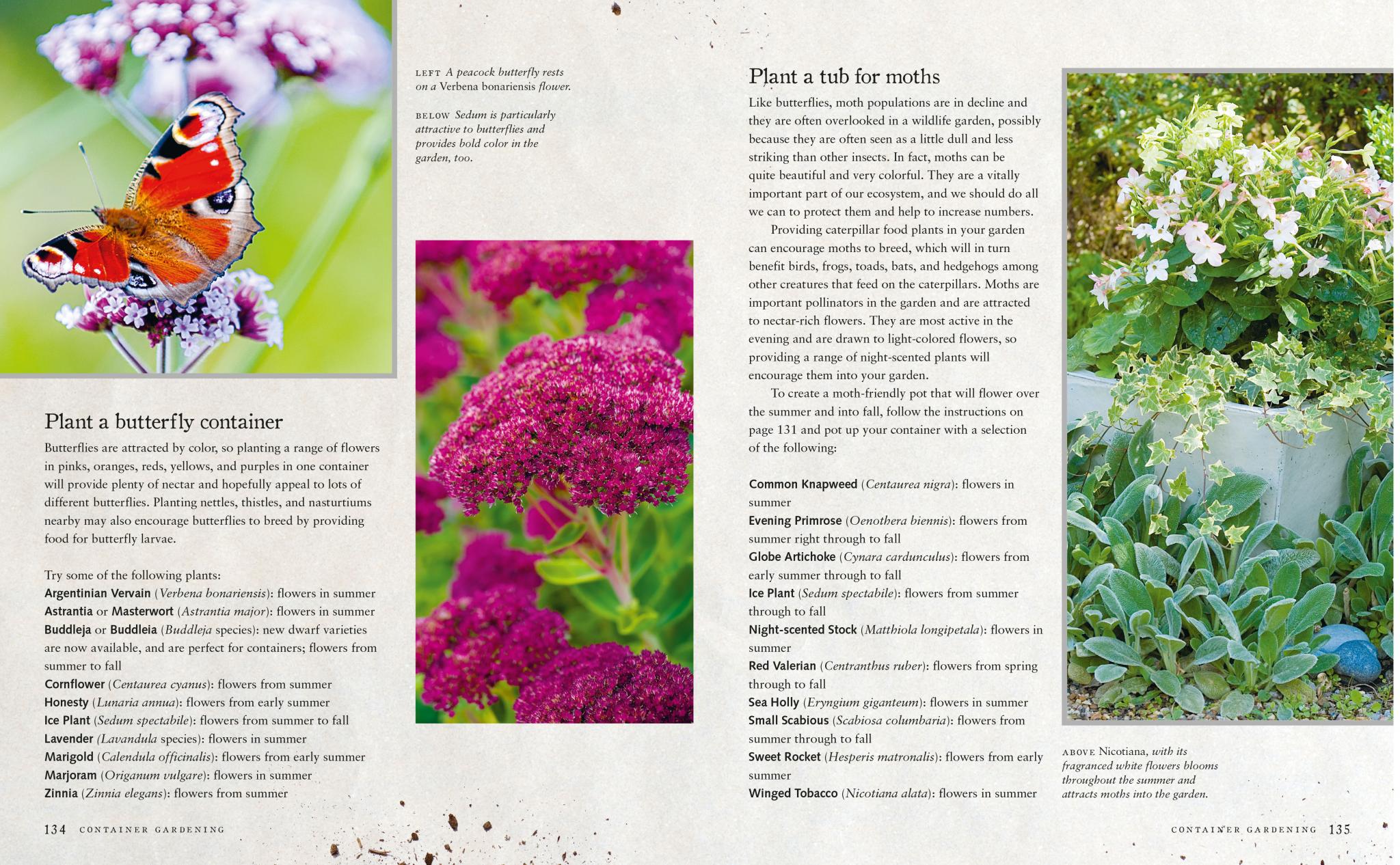 Urban Wildlife Gardener - Image 4