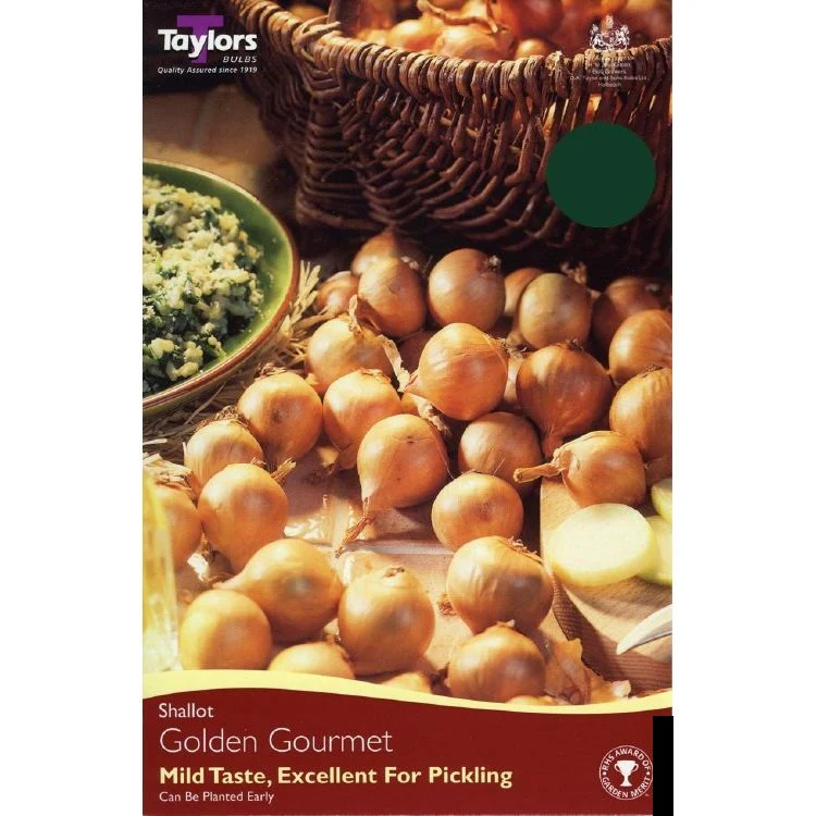 VALUE SHALLOT GOLDEN GOURMET 20