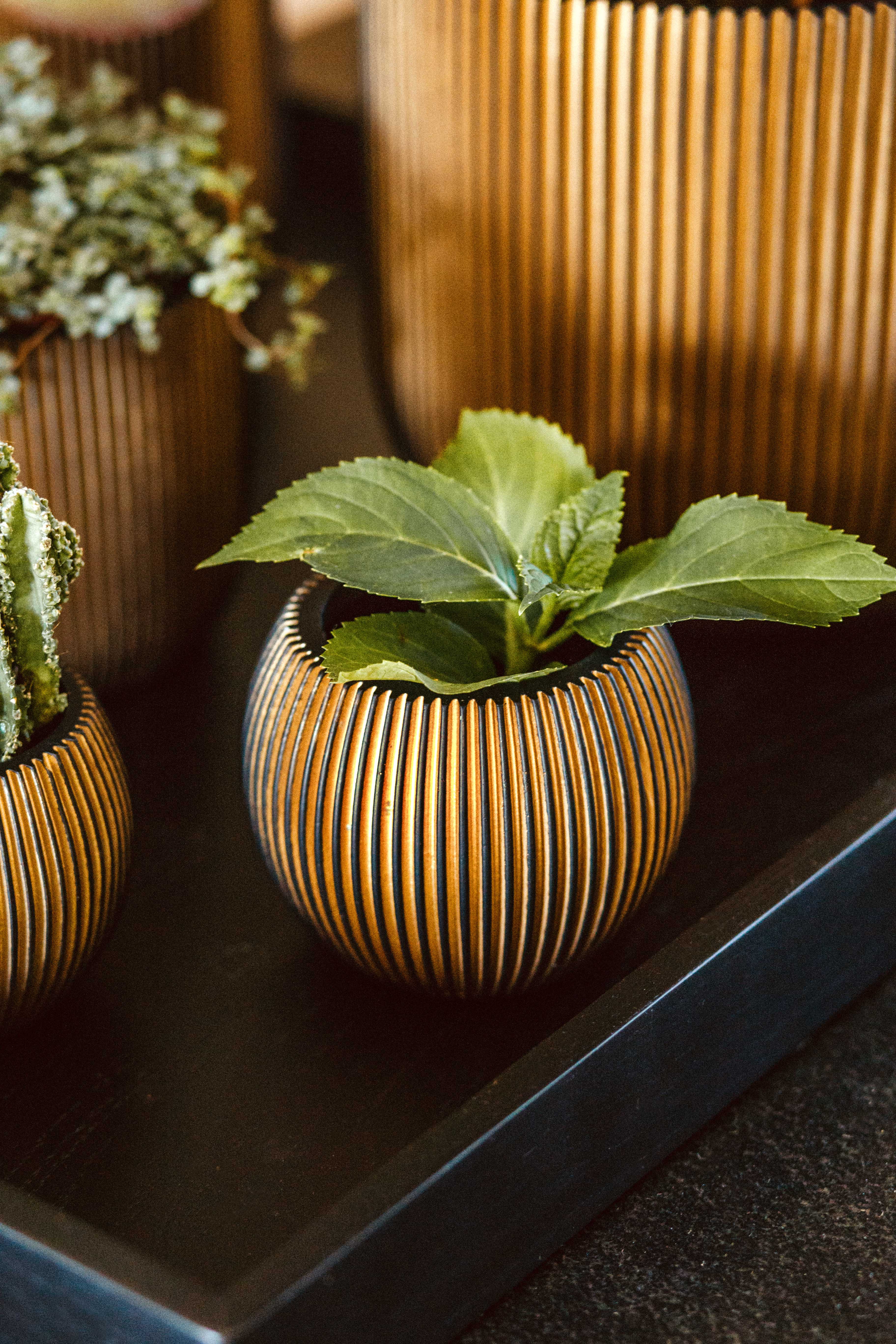 Vase Ball Groove Indoor Pot Ø12cm H10cm Black and Gold - Image 2