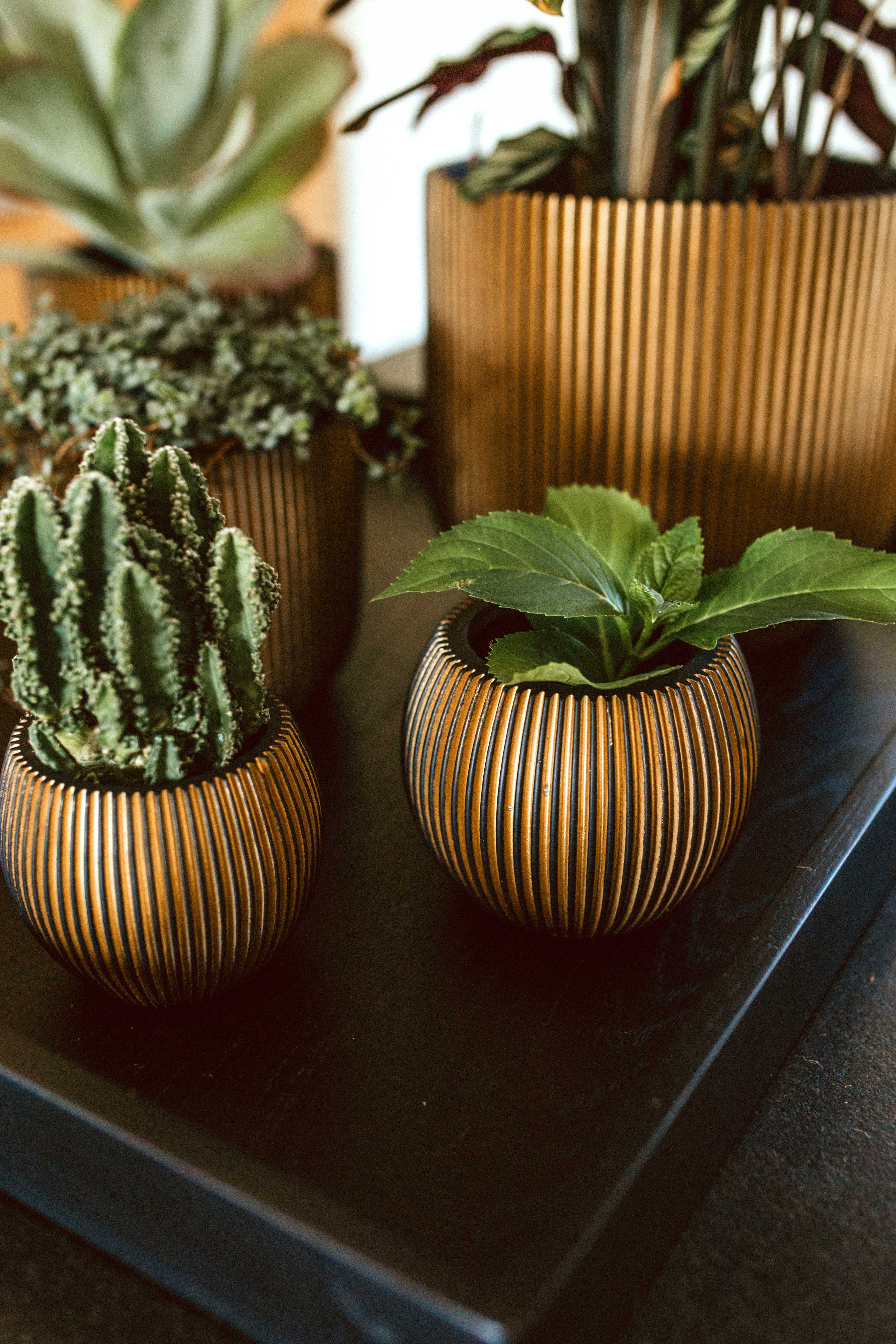 Vase Ball Groove Indoor Pot Ø12cm H10cm Black and Gold - Image 3