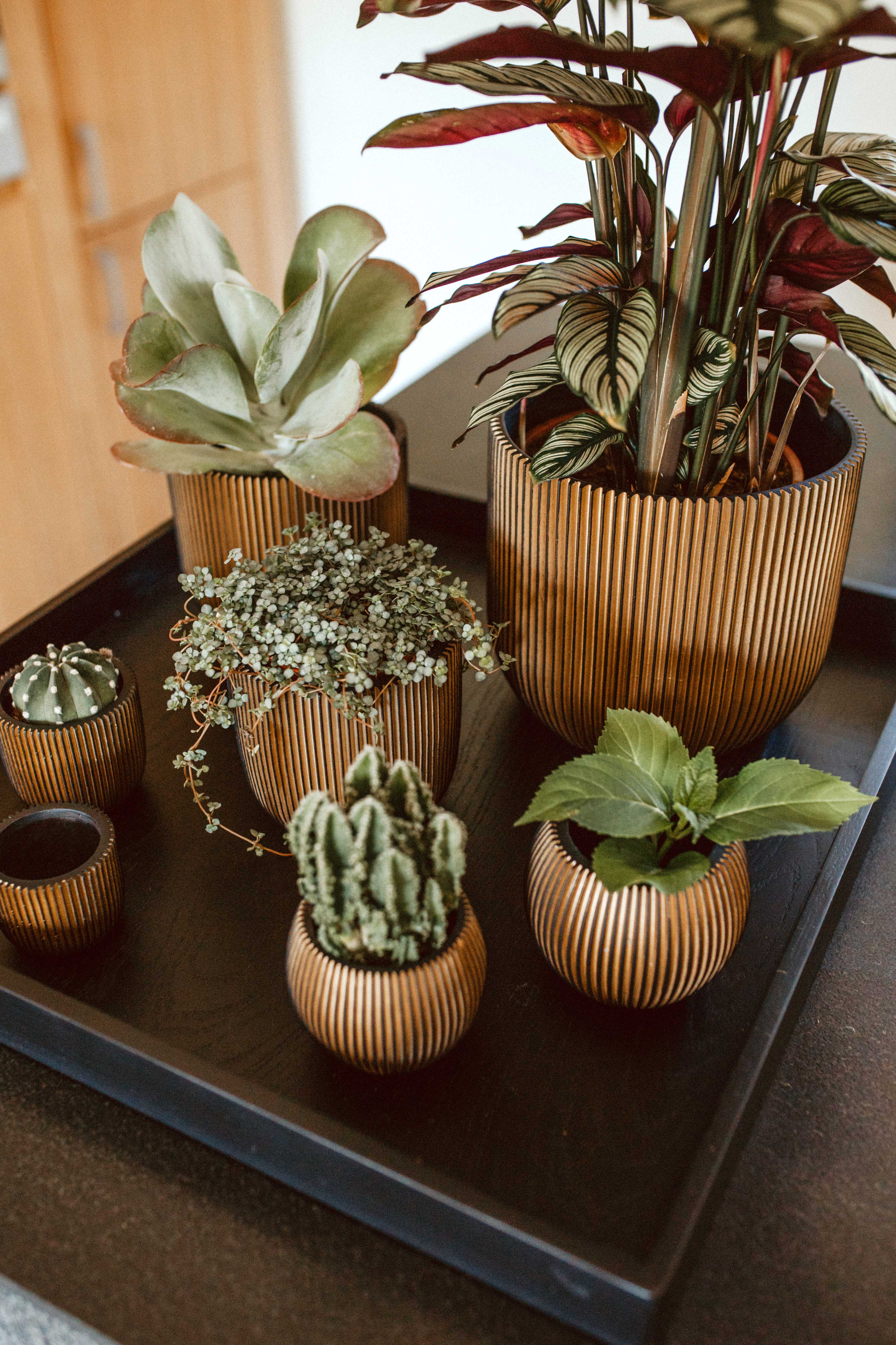 Vase Ball Groove Indoor Pot Ø12cm H10cm Black and Gold - Image 4