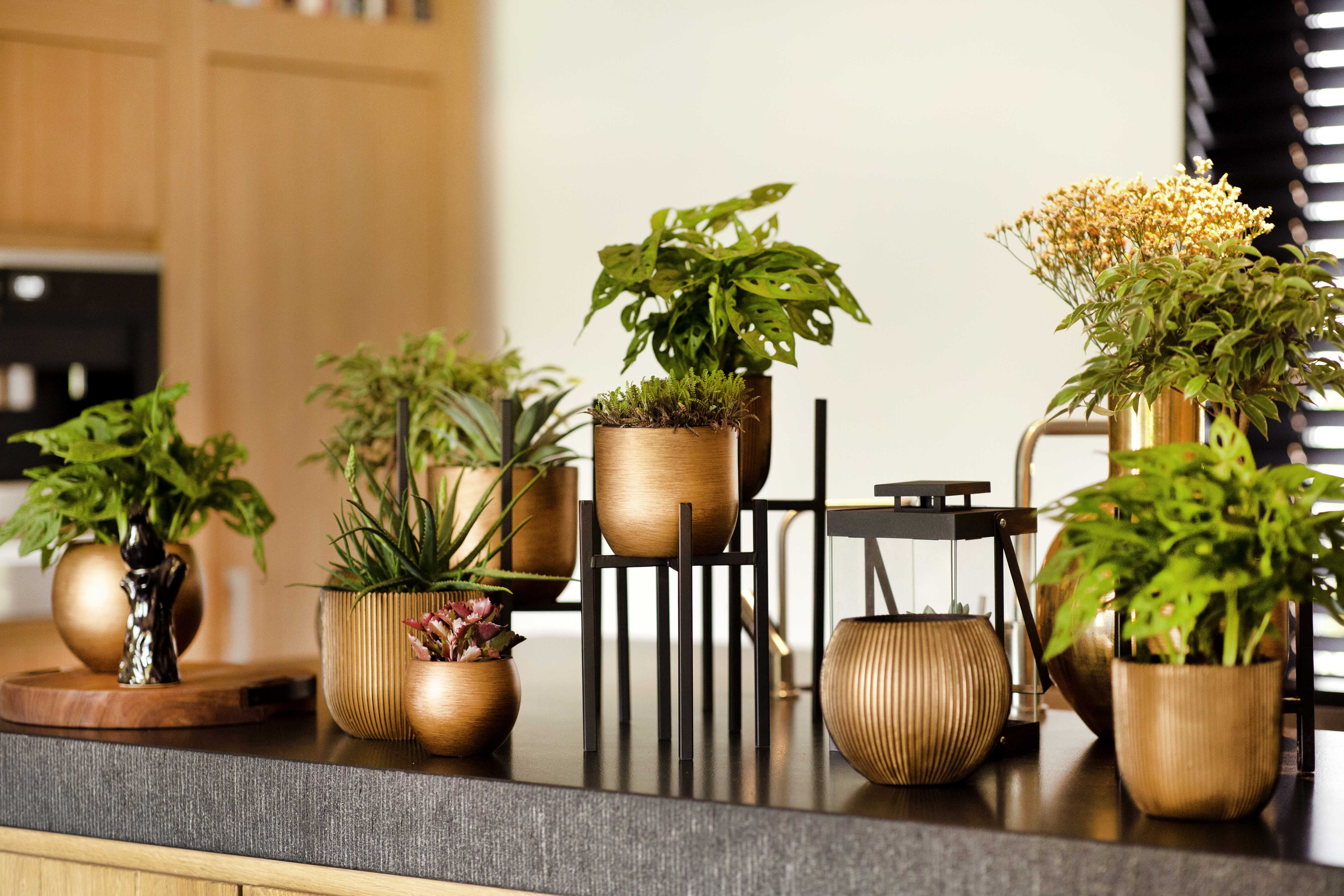 Vase Ball Groove Indoor Pot Ø12cm H10cm Black and Gold - Image 5