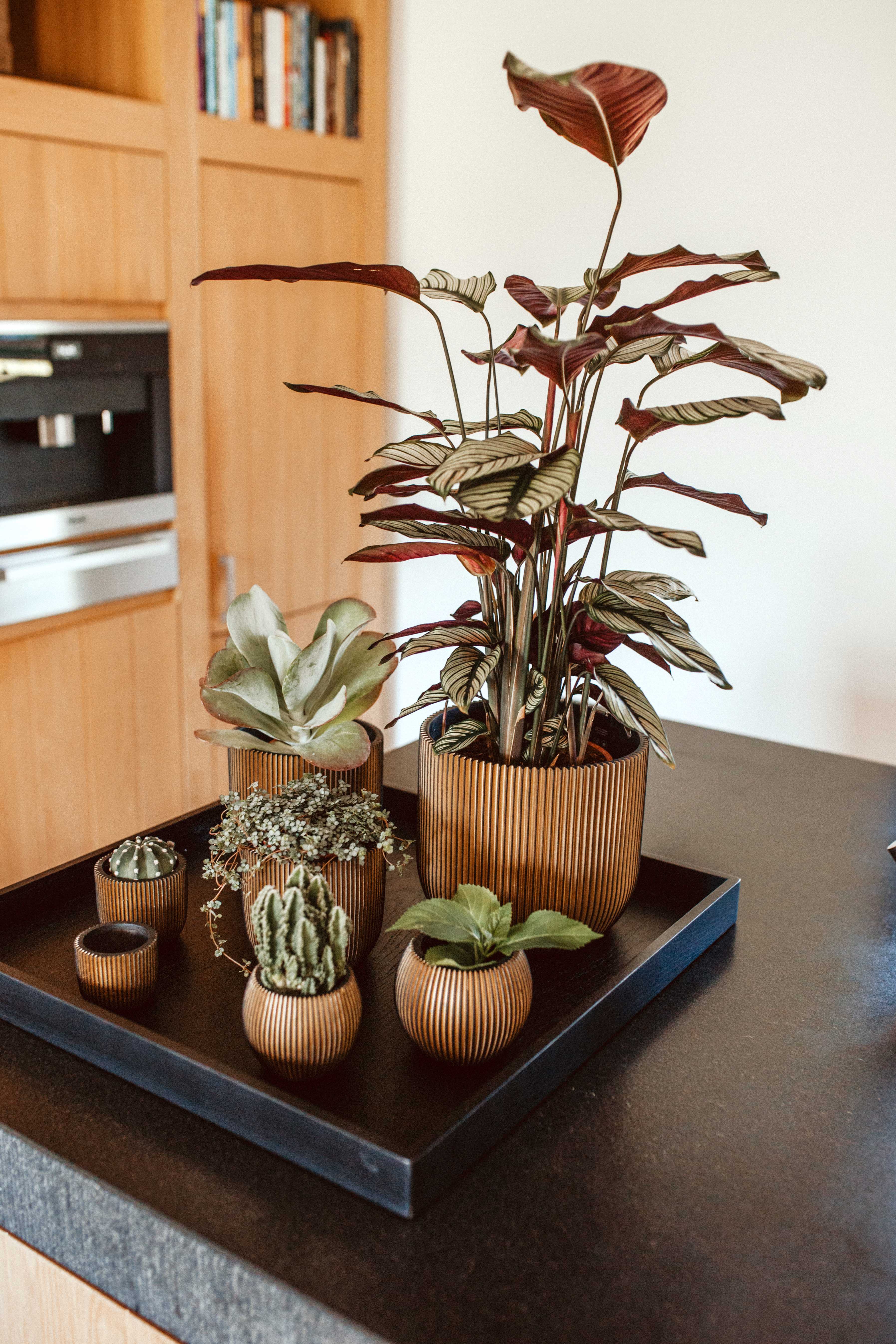 Vase Ball Groove Indoor Pot Ø12cm H10cm Black and Gold - Image 6