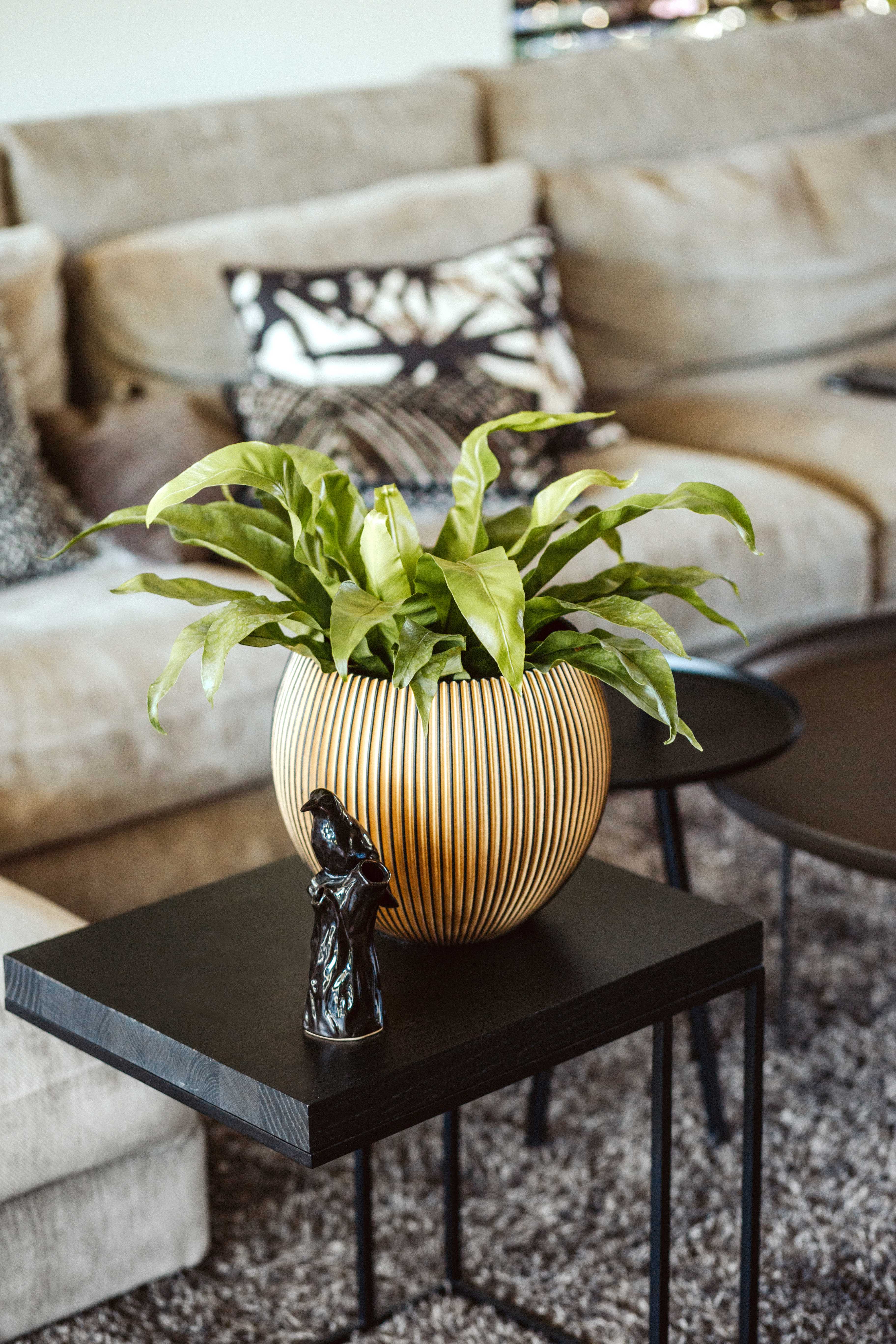 Vase Ball Groove Indoor Pot Ø12cm H10cm Black and Gold - Image 7