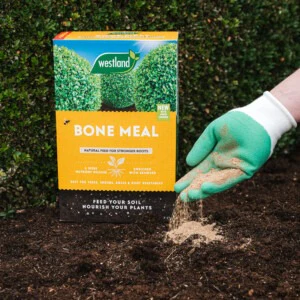 Westland Bone Meal 1.5kg - Image 3
