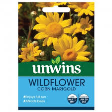 Wildflower Corn Marigold