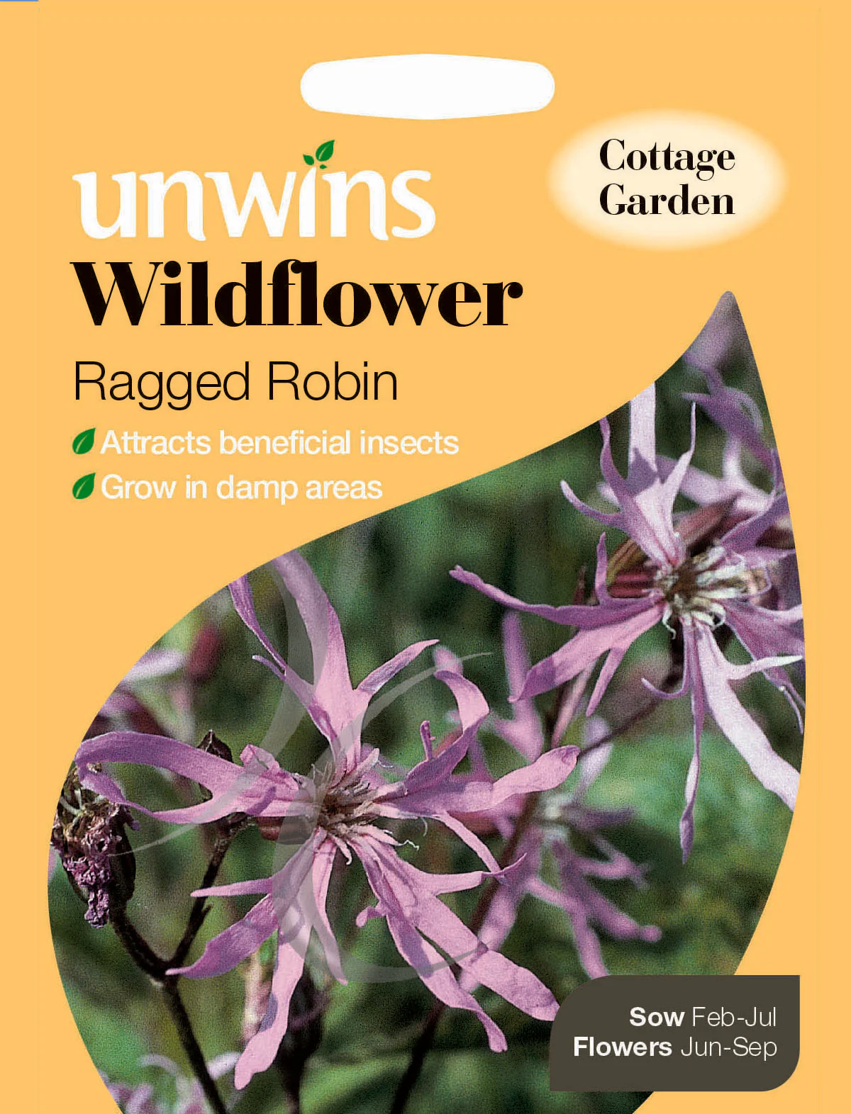 Wildflower Ragged Robin