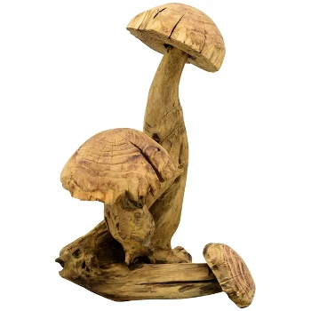 Wooden mushroom