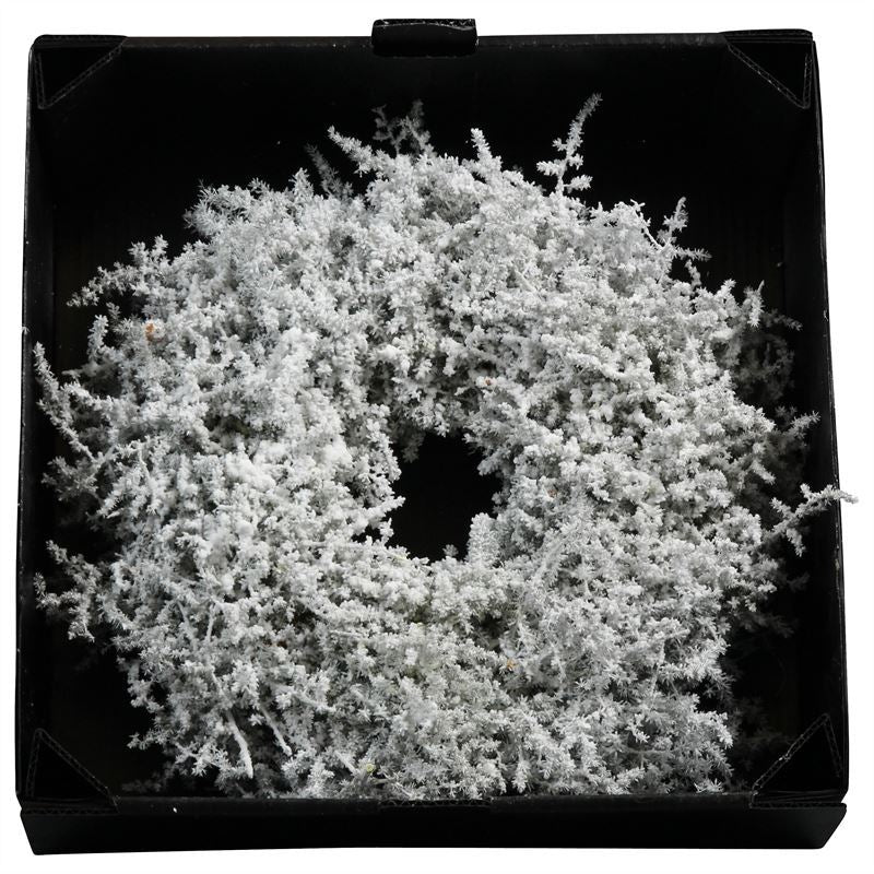 Wreath Asparagus D35cm White Snow